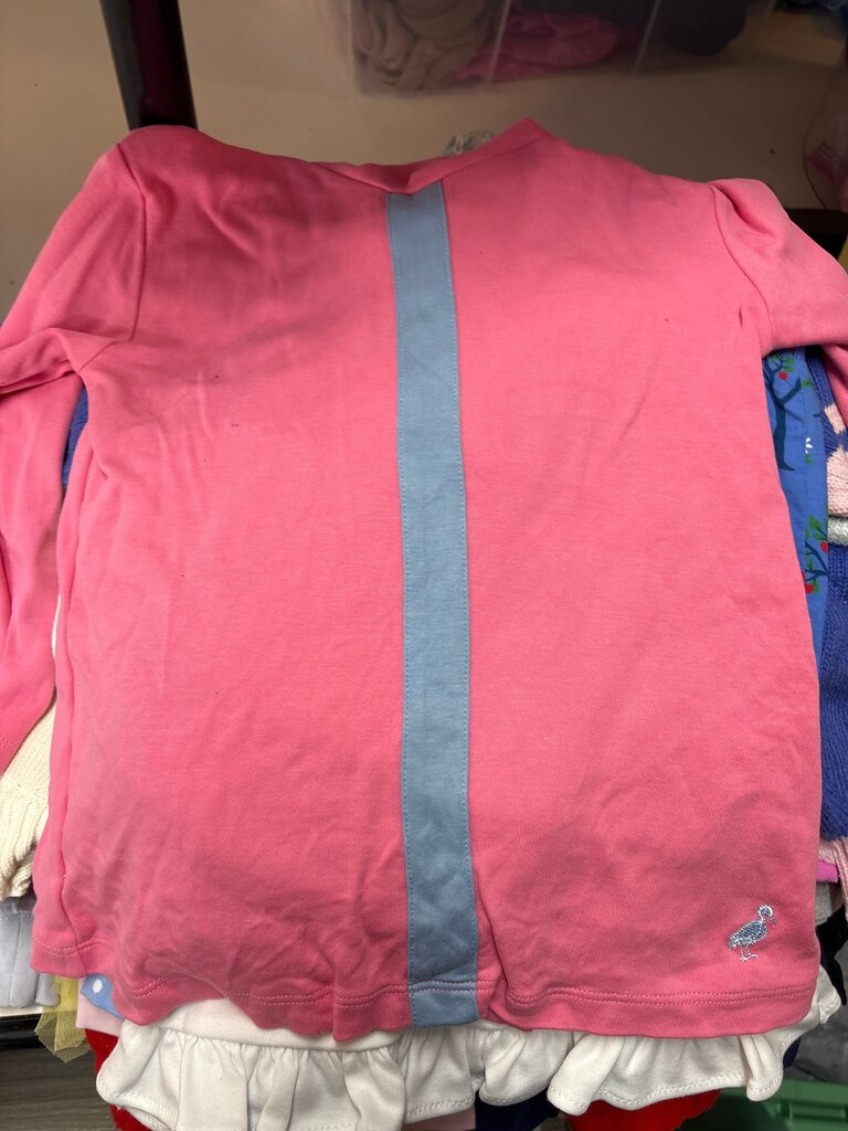 Pink Long Sleeve Shirt with Blue Stripe