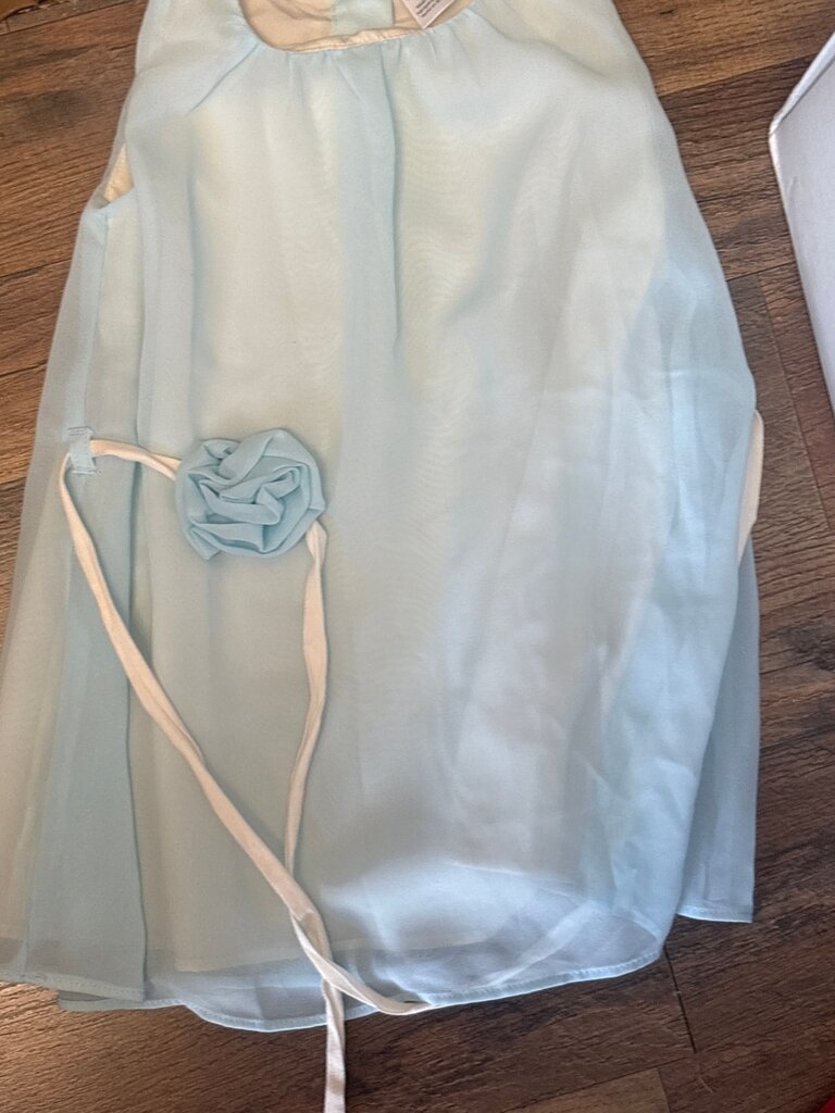 Light Blue Dress with Rose Detail