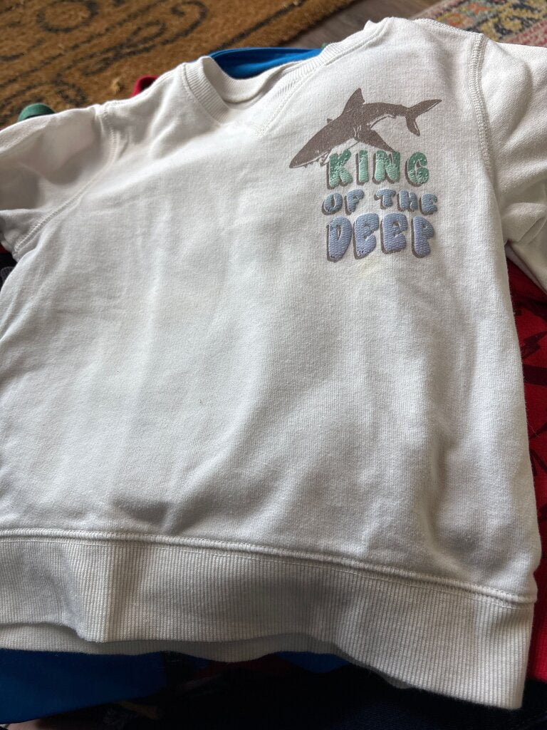 OshKosh B'gosh Toddler Sweatshirt