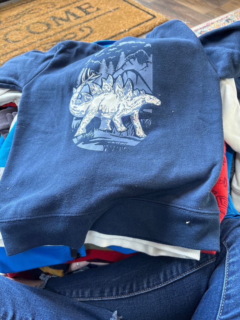 Garanimals Dinosaur Print Sweatshirt