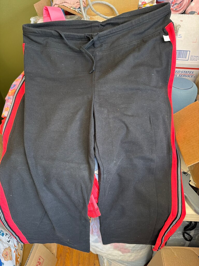Be Inspired Women's Black Leggings with Red Stripes
