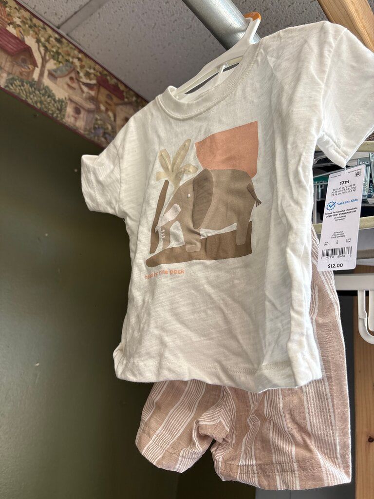 Boys Elephant Graphic Tee and Striped Shorts Set