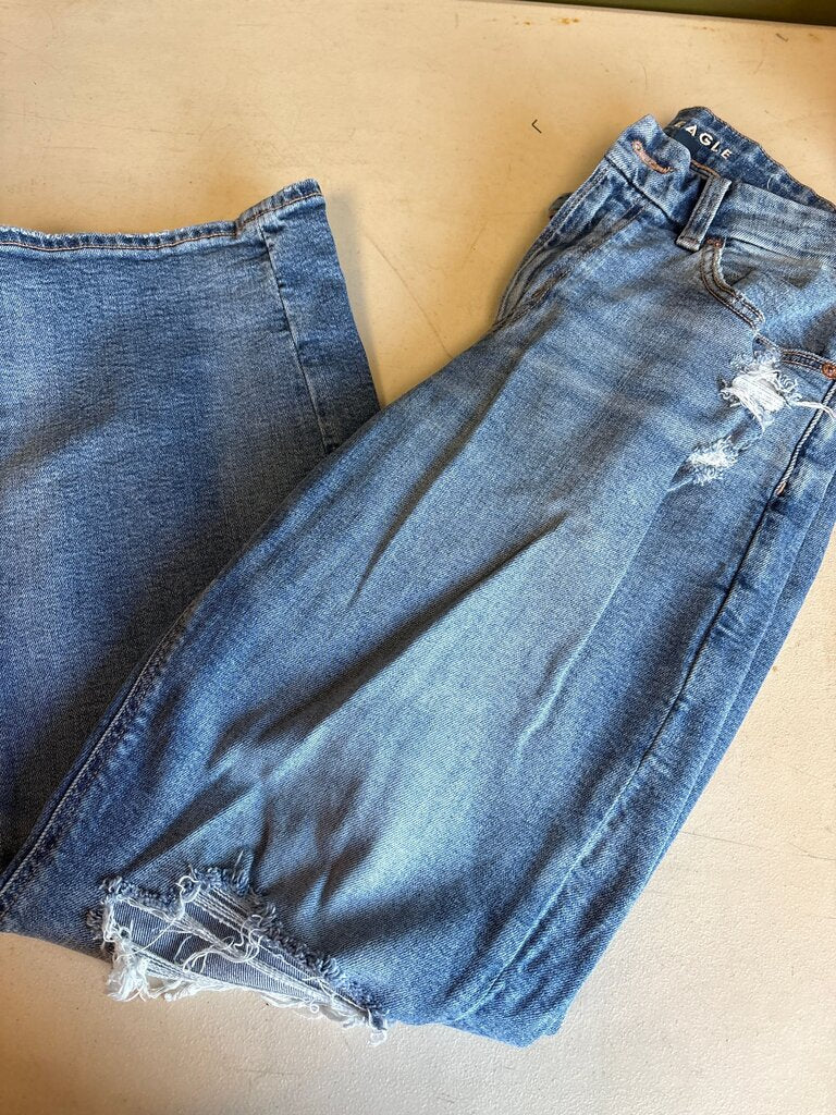 American Eagle Outfitters Women's Shorts