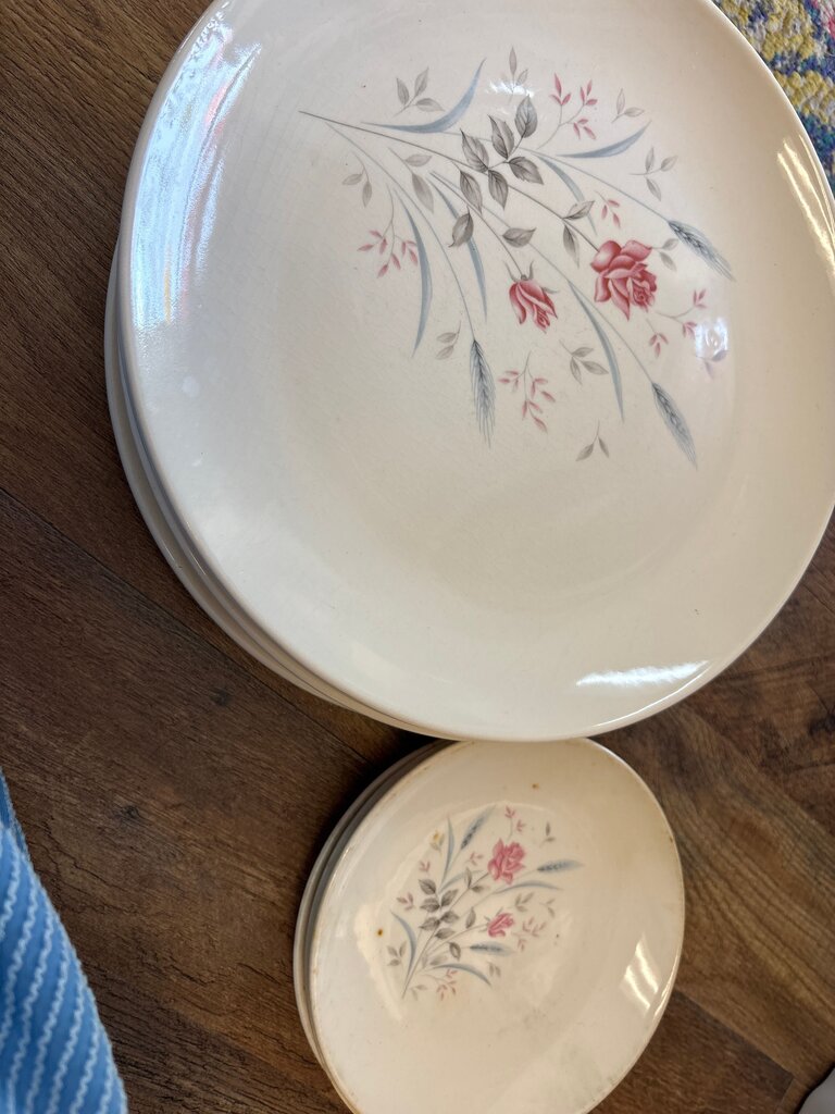 Vintage Floral Dinner Plates Set