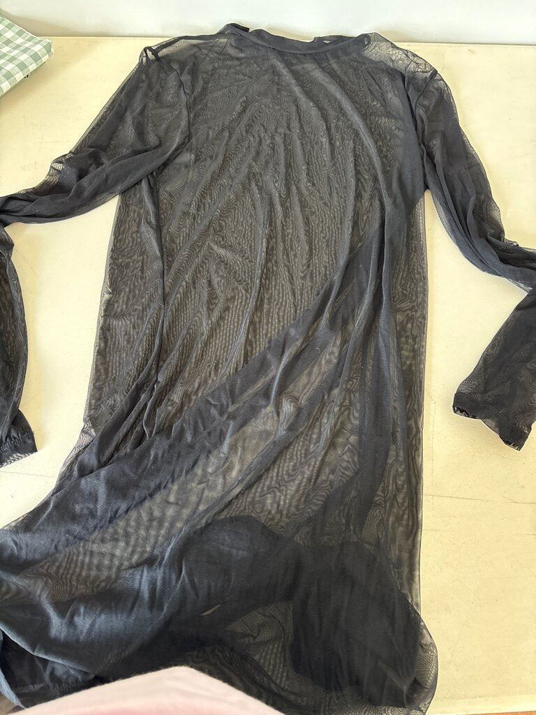 Sheer Long Sleeve Black Dress