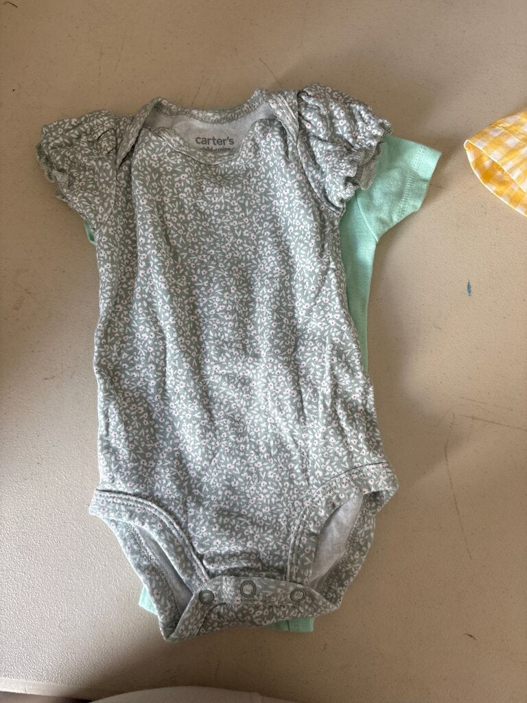 Carter's Infant Floral Bodysuit