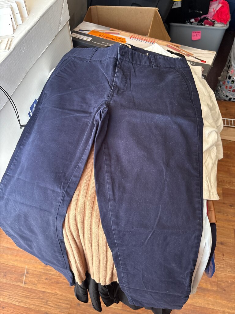 J.Crew Stretch Frankie Pants
