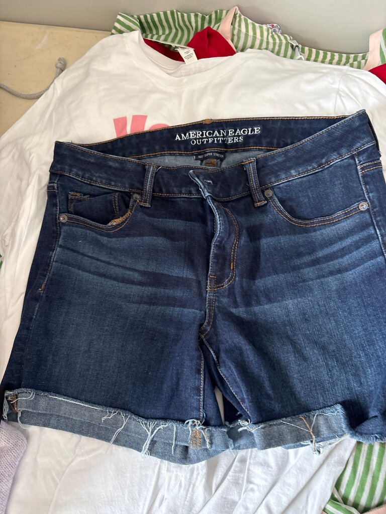 American Eagle Outfitters Denim Shorts