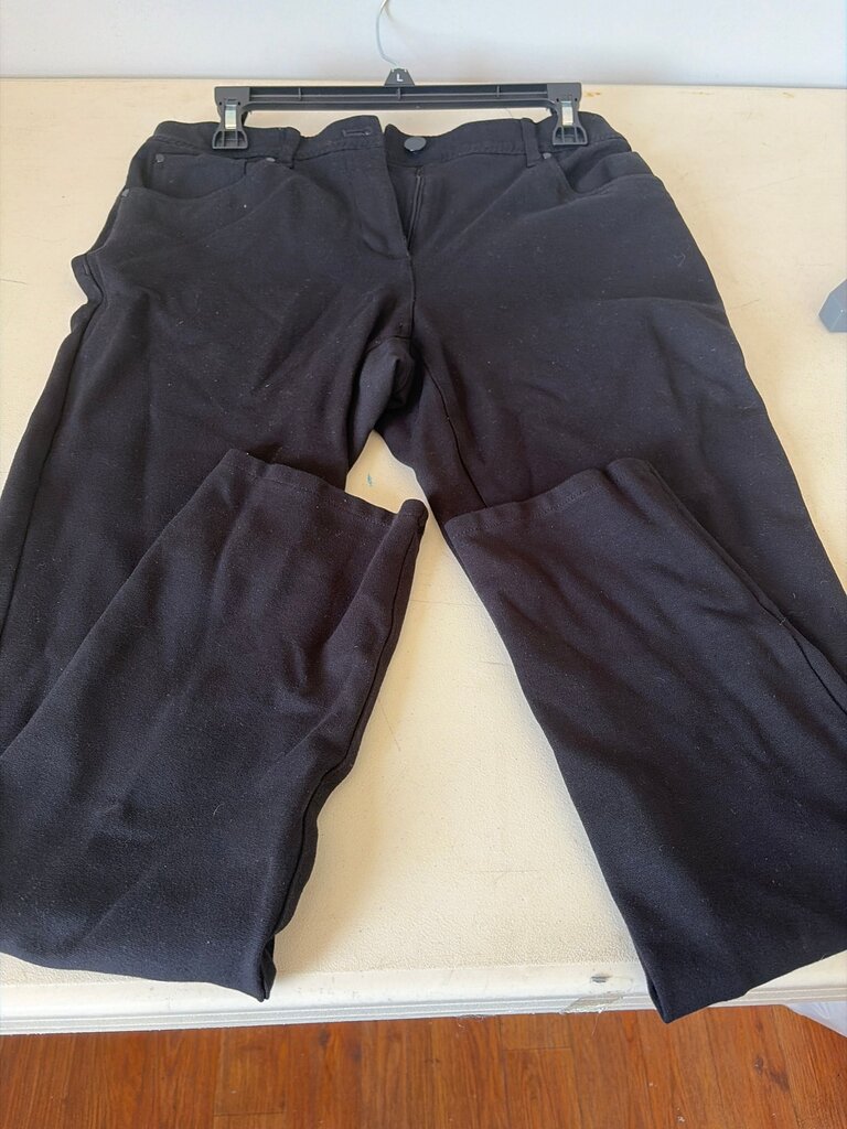 Chico's So Slimming Pants