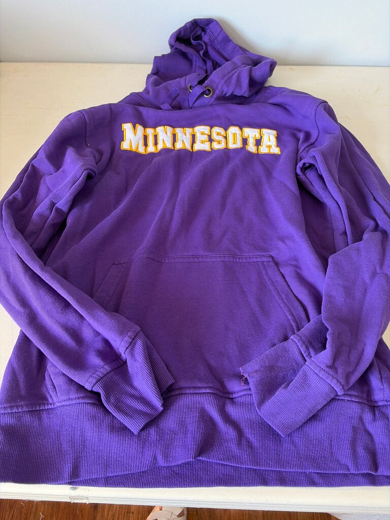 Minnesota Purple Hoodie