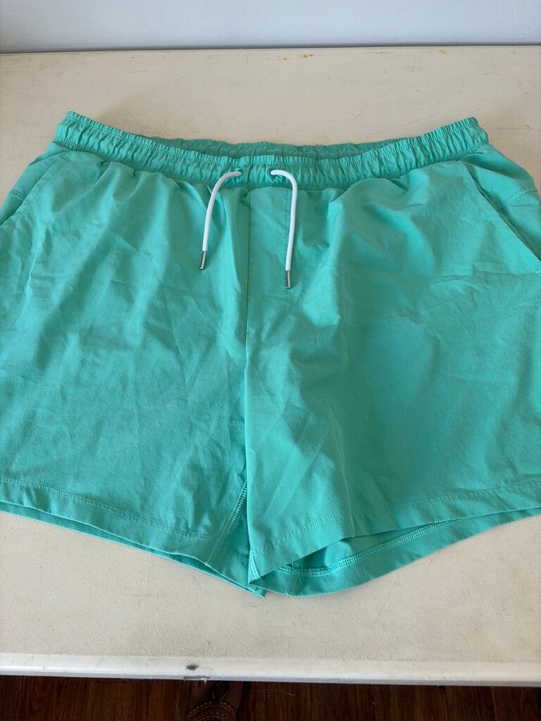 Men's All in Motion Swim Trunks