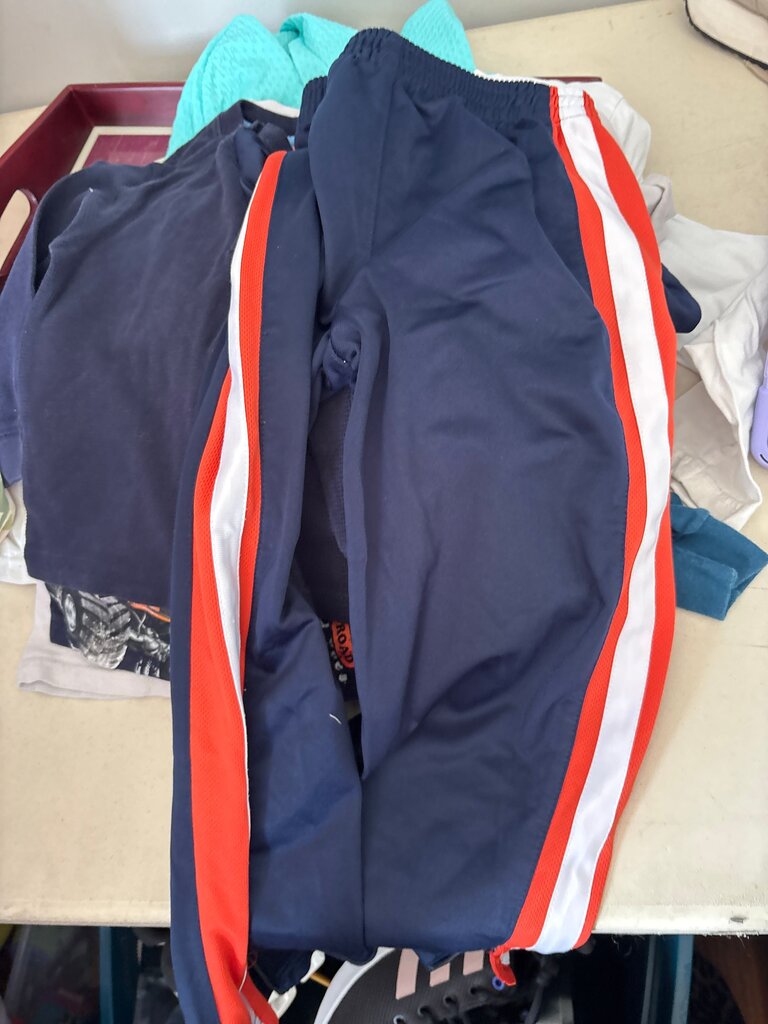 Navy Blue Athletic Pants with Red Stripes