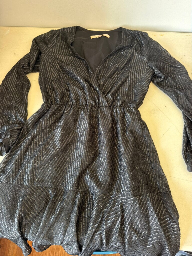 Hutch Women's Shimmering Black Dress