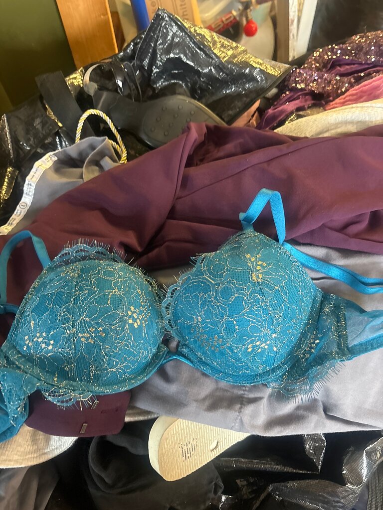 Victoria's Secret Bombshell Push-Up Bra