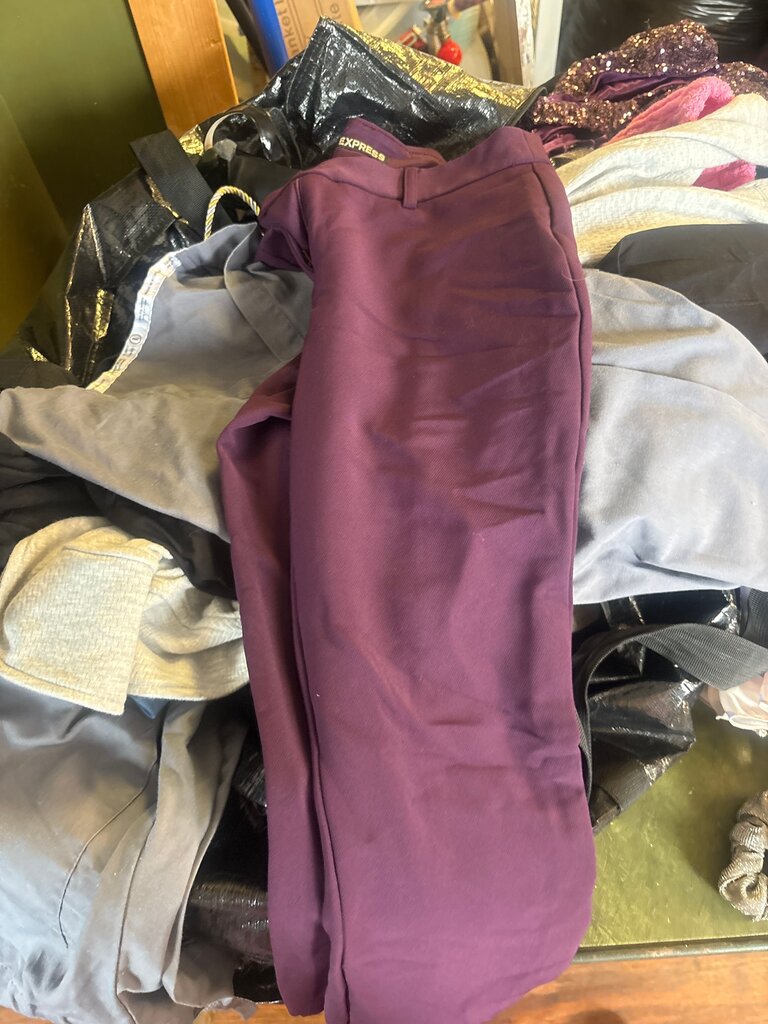 Express Women's Purple Pants