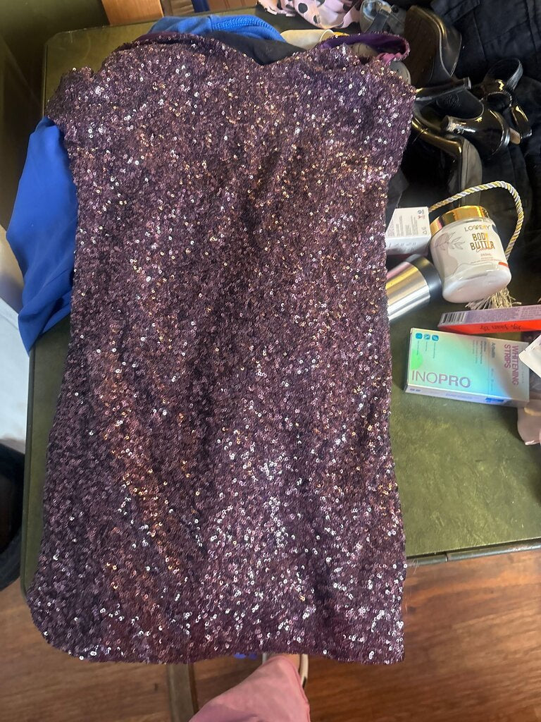 Purple Sequin Dress