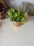 Faux Greenery Potted Plant