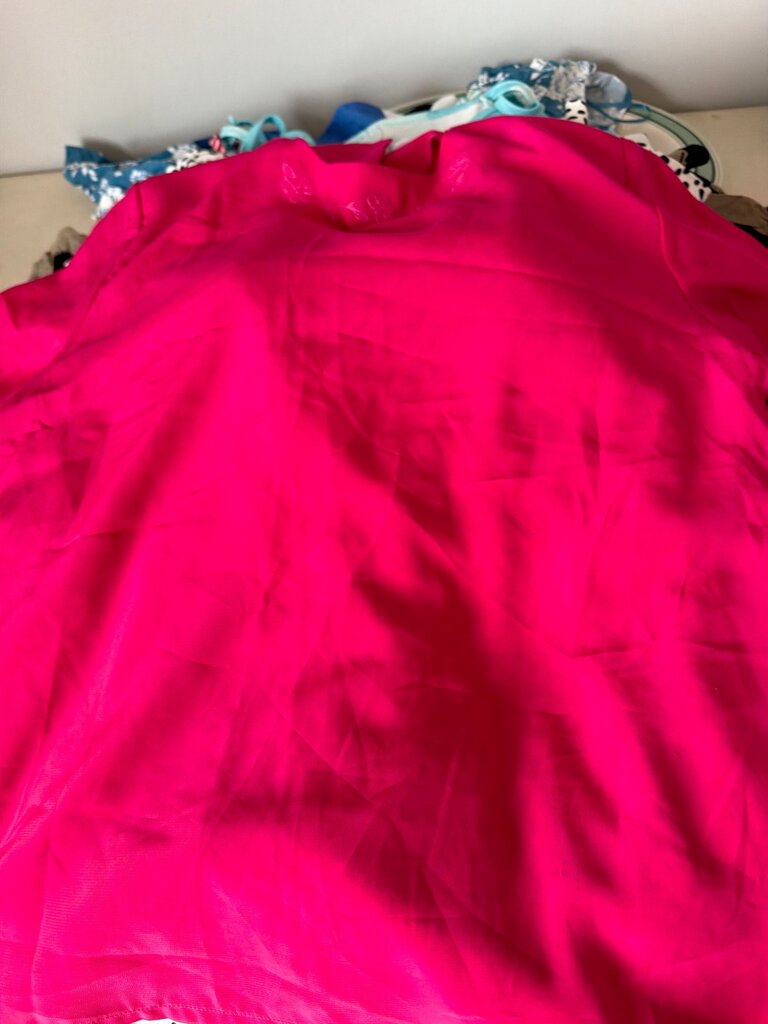 Nipuna Pink Polyester Top