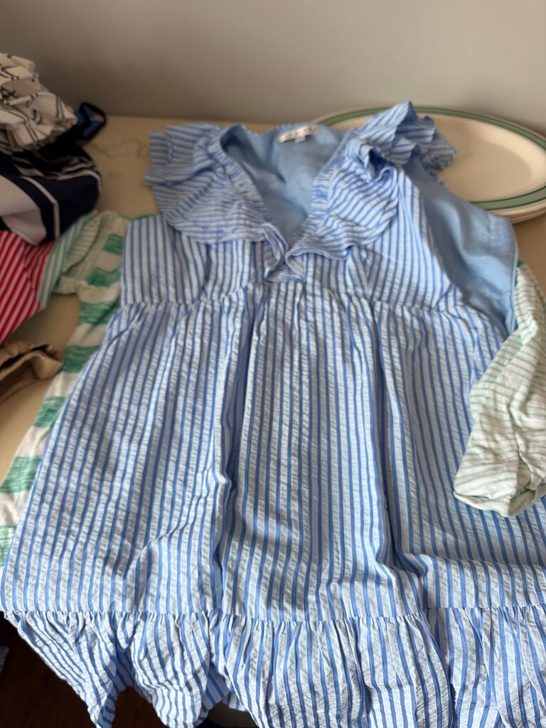 Joy Striped Blue Dress