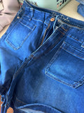 Blue Desire Denim Shorts