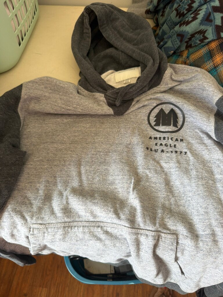 American Eagle Hooded Sweatshirt