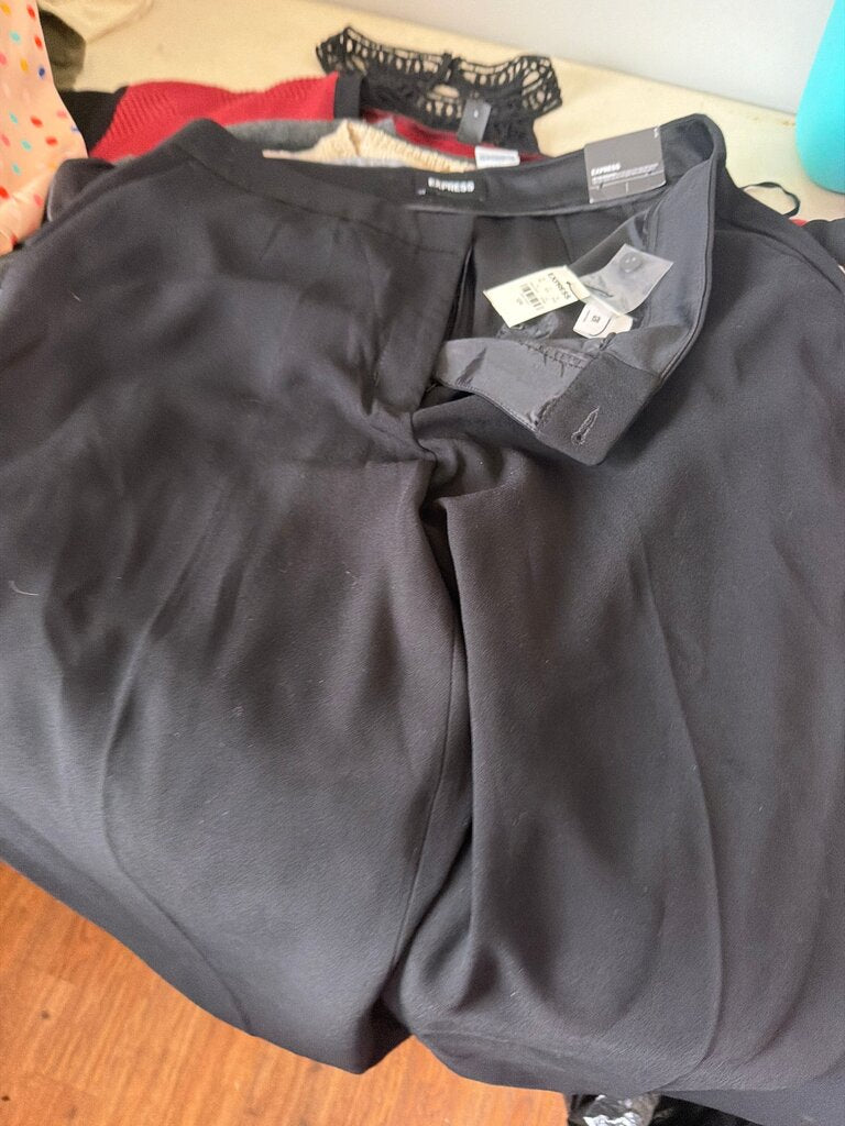 Express Women's Dress Pants