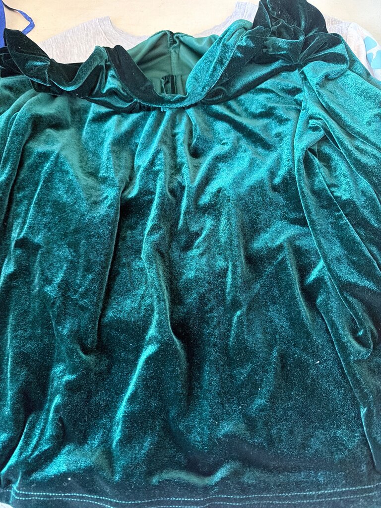 Velvet Green Top