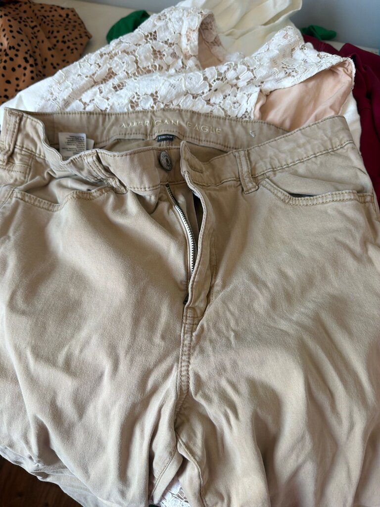 American Eagle Women's Beige Stretch Pants