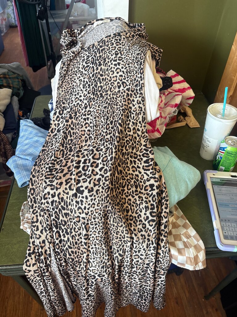 Jessica Simpson Leopard Print Dress