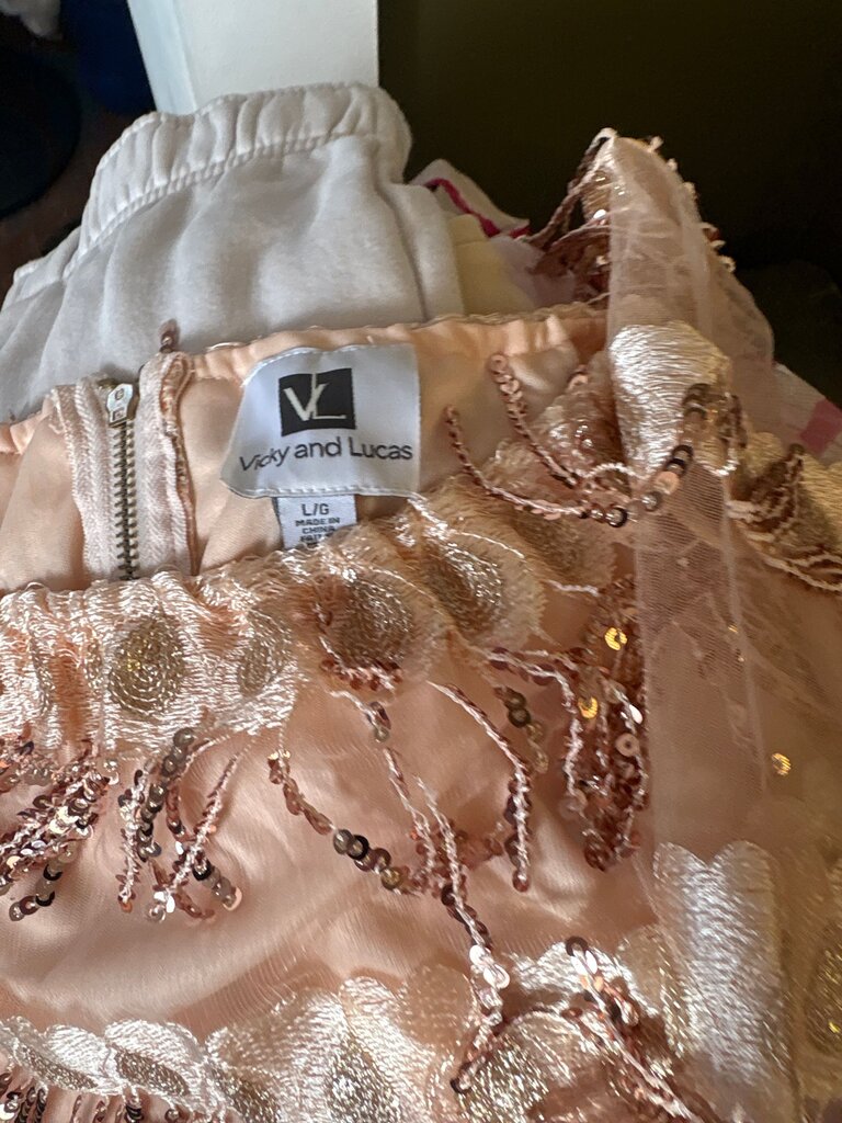Vicky and Lucas Shimmery Blush Dress