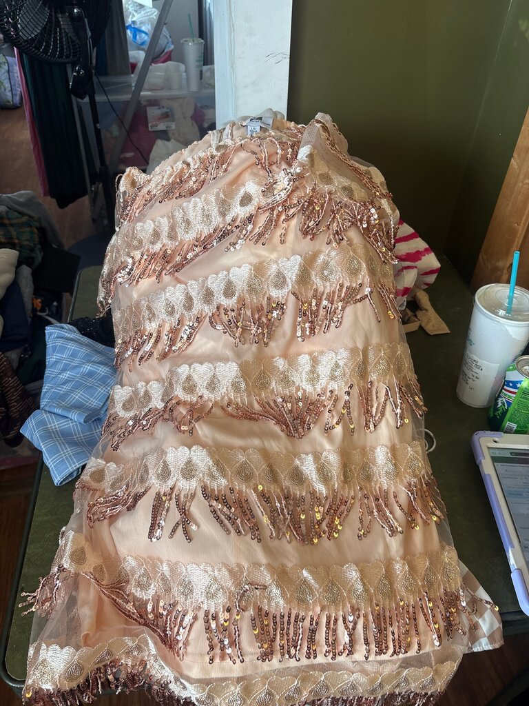 Vicky and Lucas Shimmery Blush Dress
