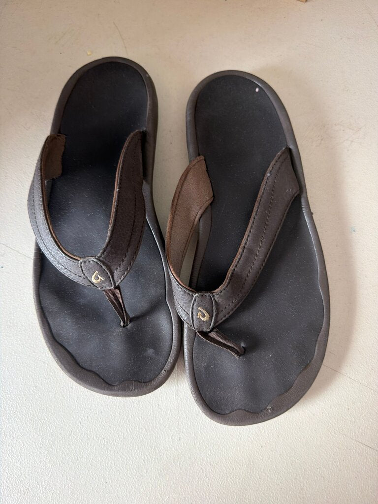 Brown Flip Flop Sandals