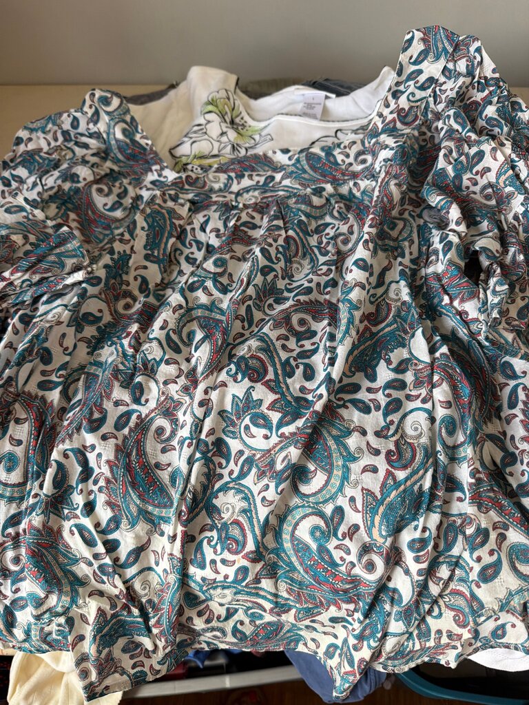 Terra & Sky Women's Paisley Print Dress