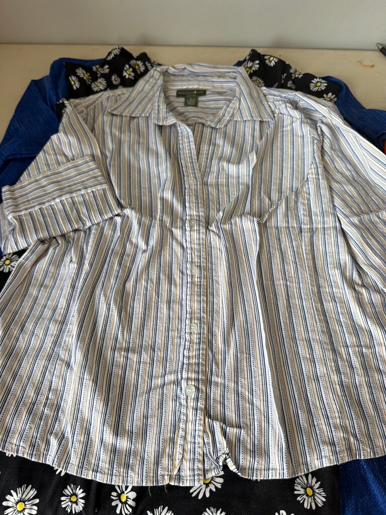 Mountain Lake Petite Striped Shirt