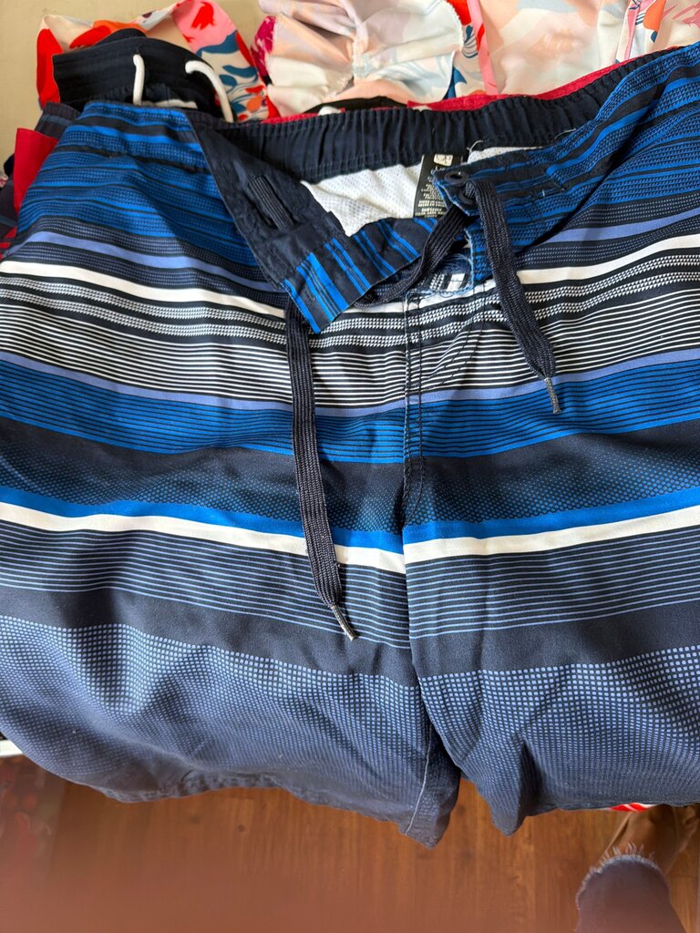 Men's Blue Striped Swim Trunks