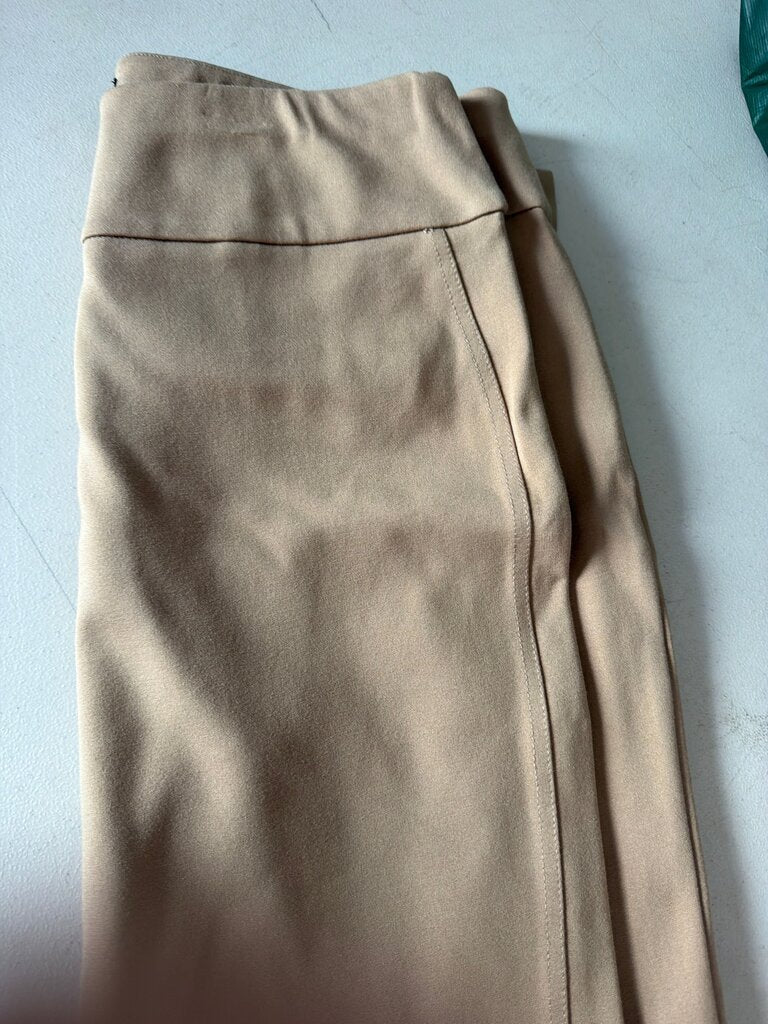 Express Ponte Pant