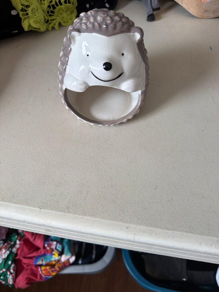 Hedgehog Planter