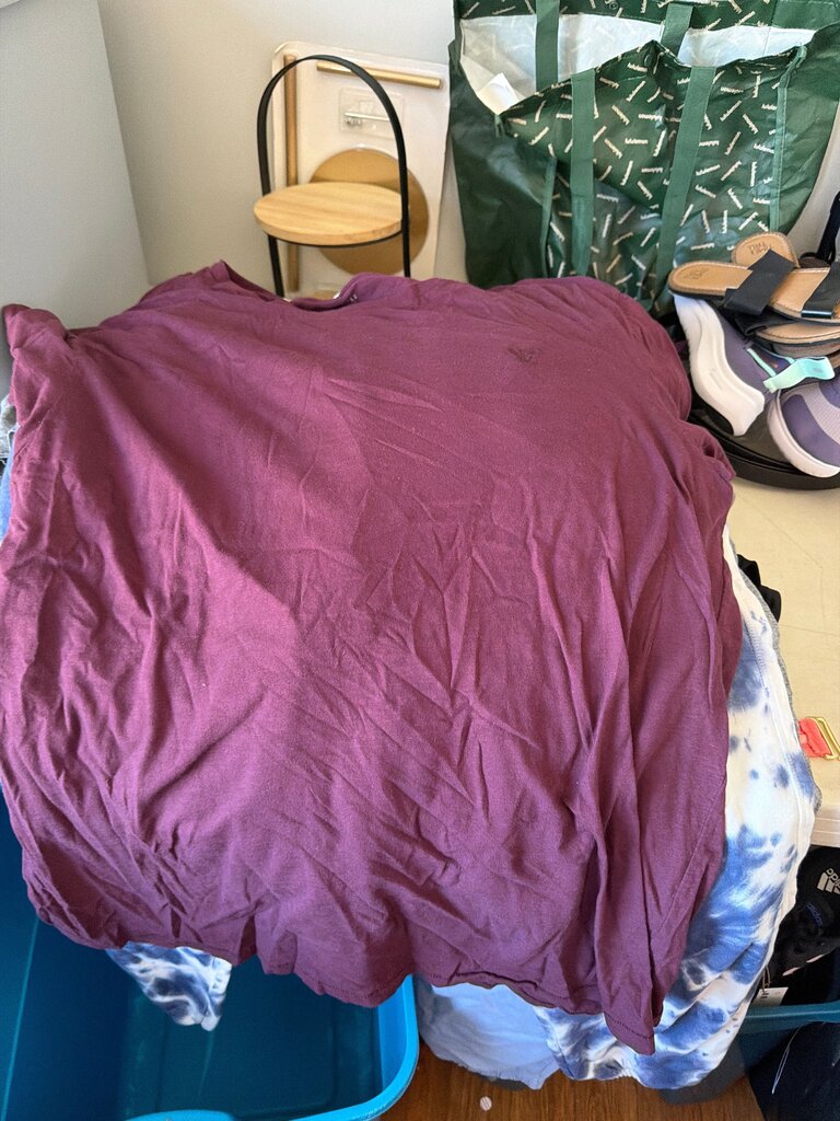 American Eagle Men's XXL Maroon T-Shirt