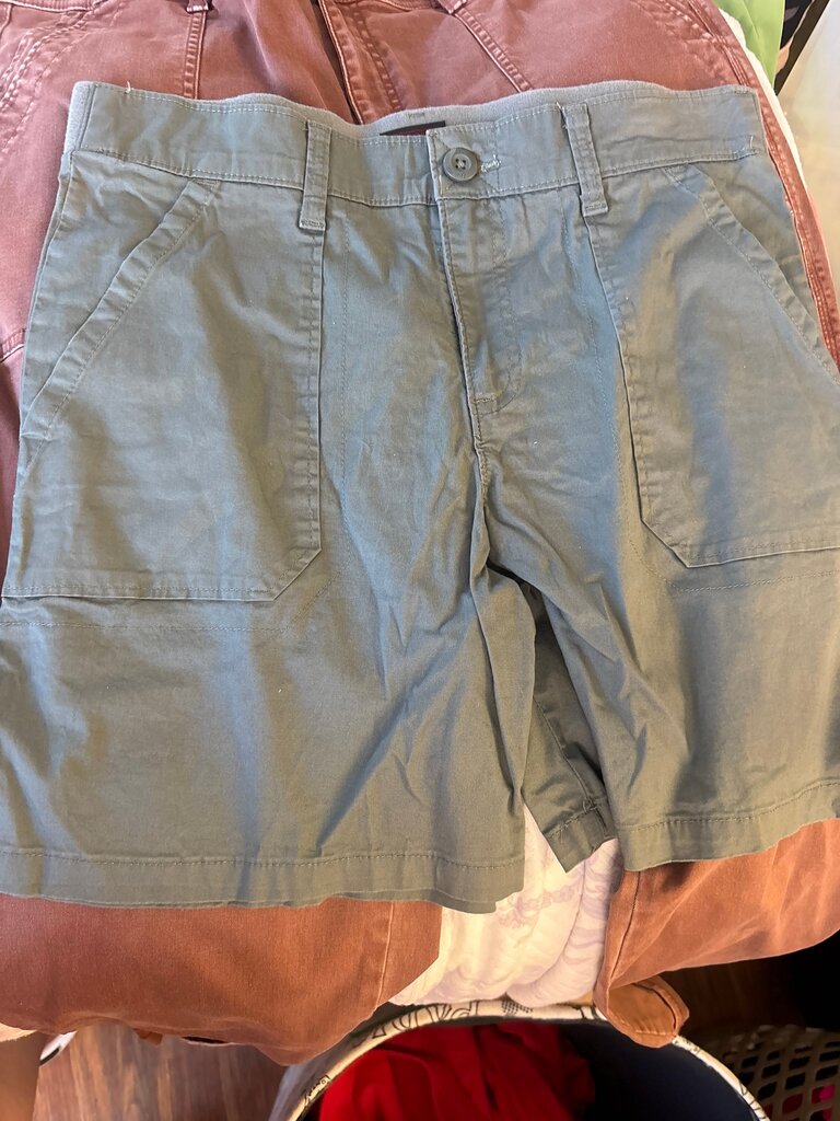 Lee Men's Casual Shorts