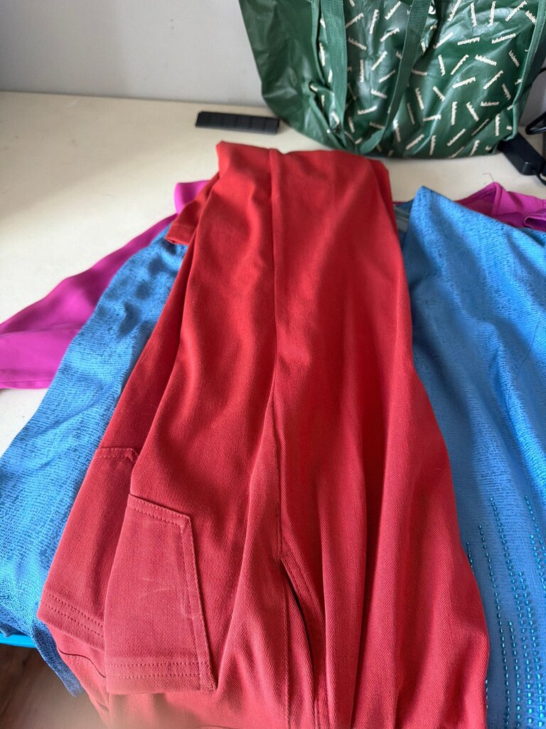 Red Athleisure Pants