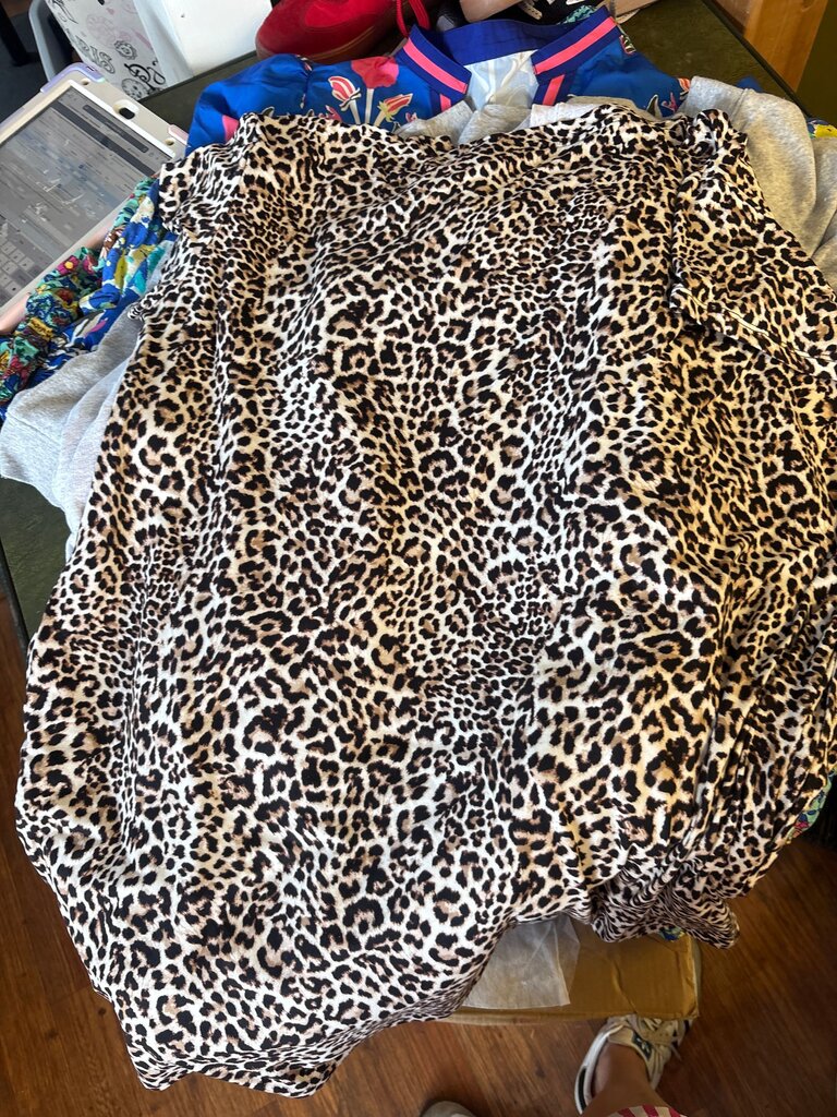 Leopard Print Dress