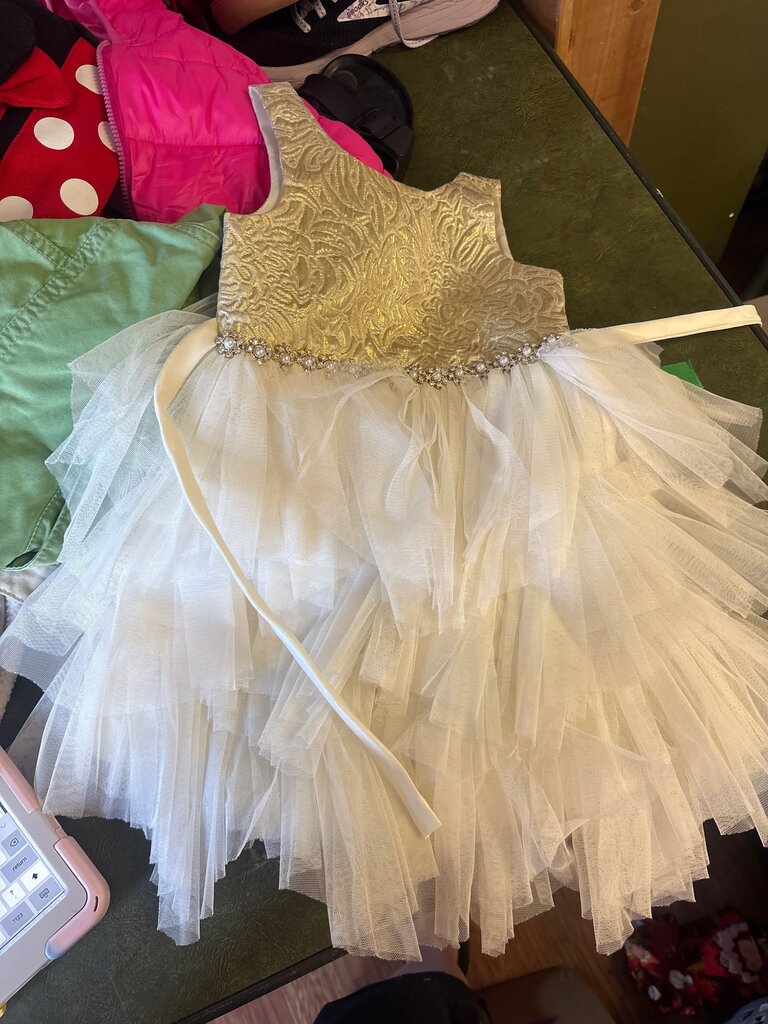 Girls' Ivory Tulle Dress