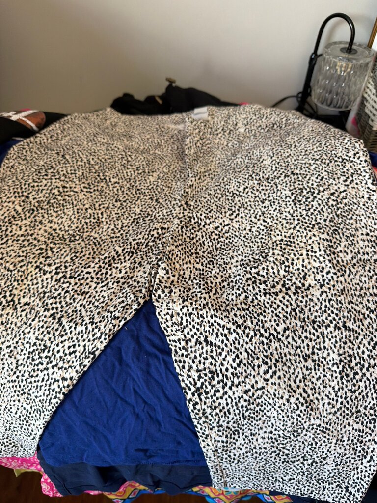 Chico's Leopard Print Dress