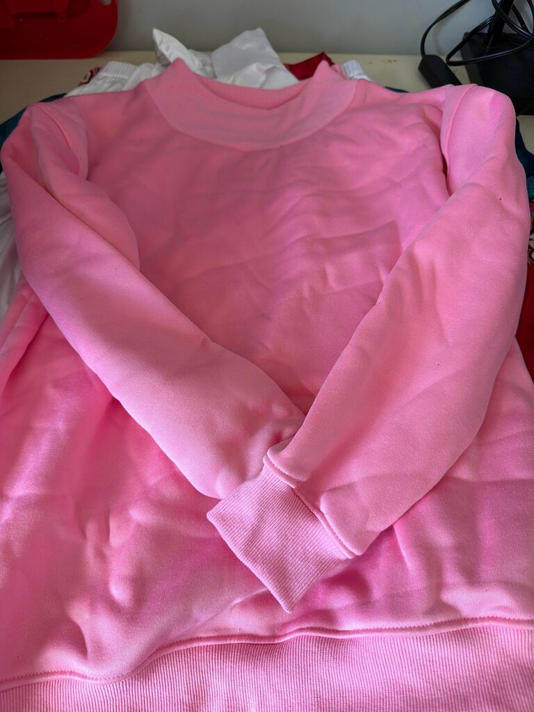 Pink Sweatshirt