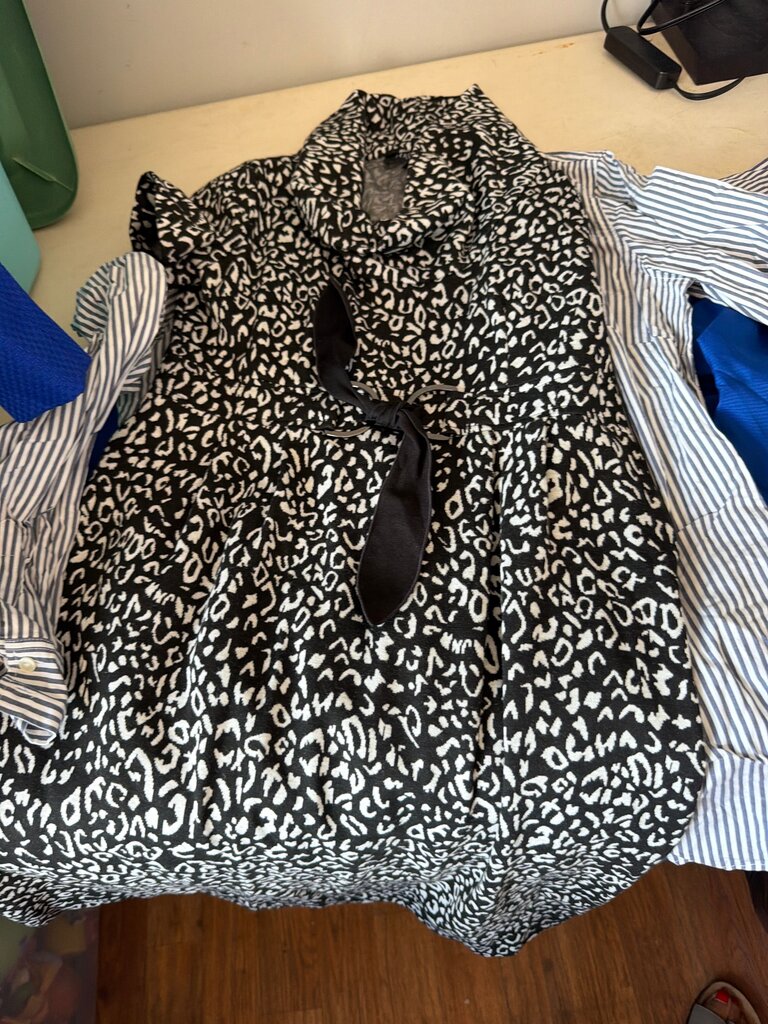 Perceptions New York Dress