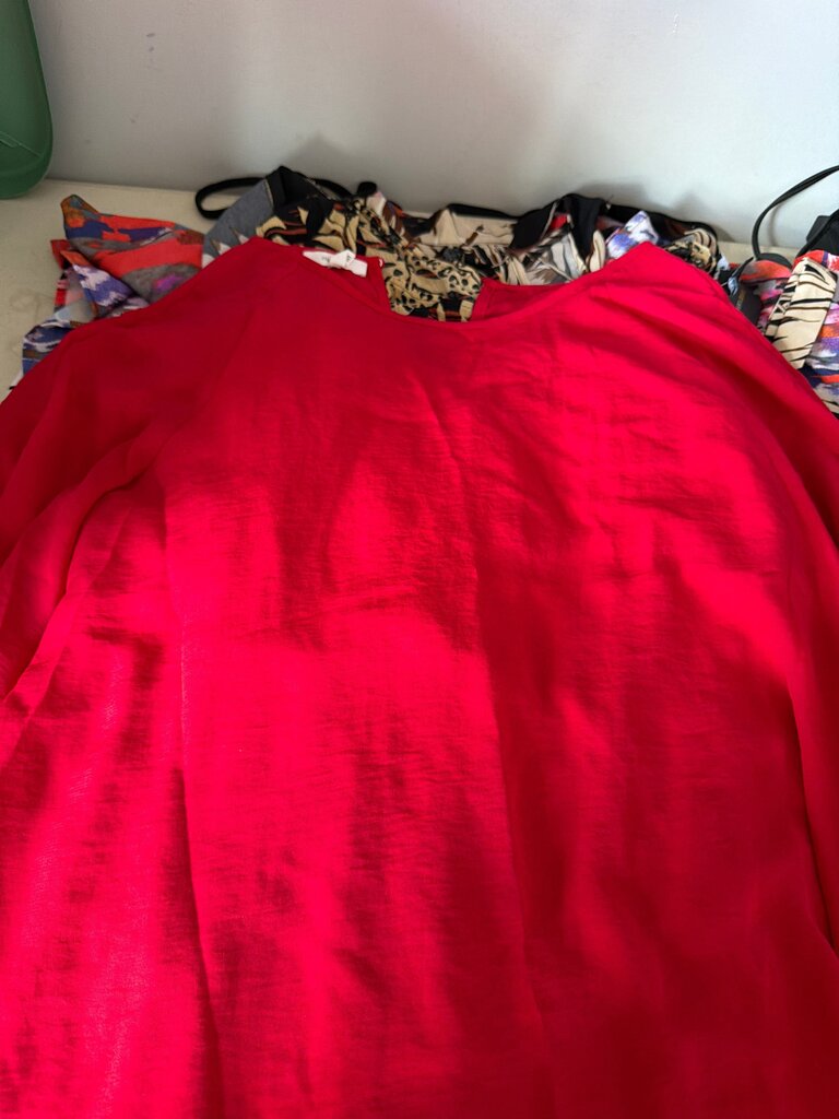 Red Women's Top