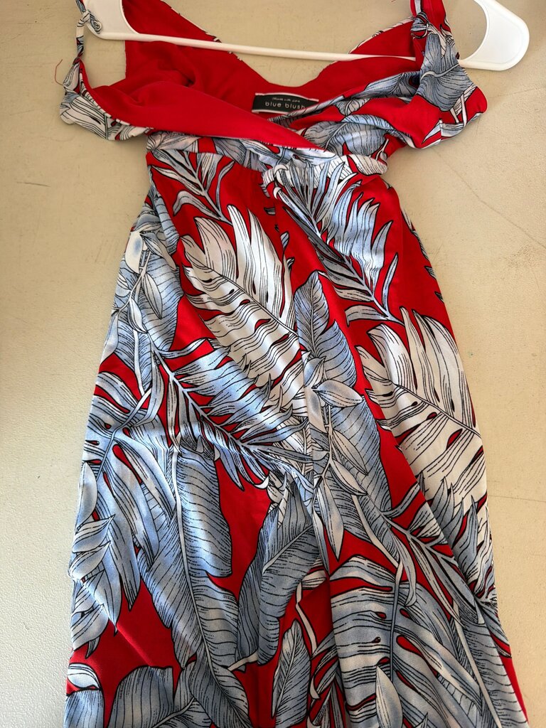 Blue Blush Red Floral Dress