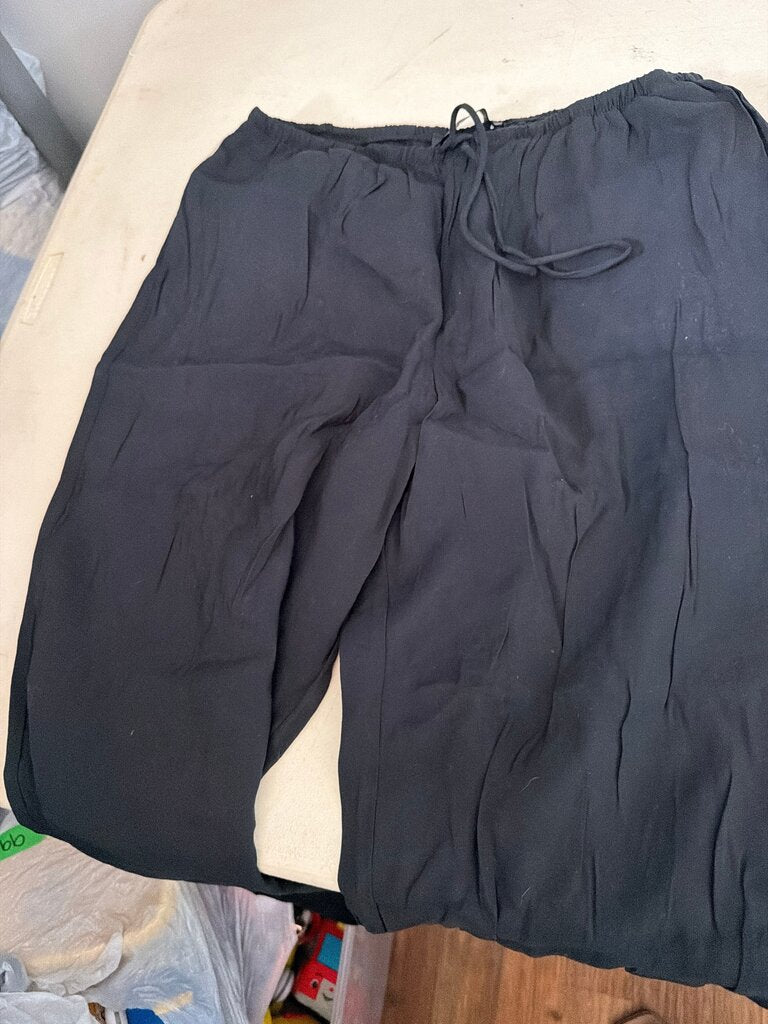 Zara Black Pants