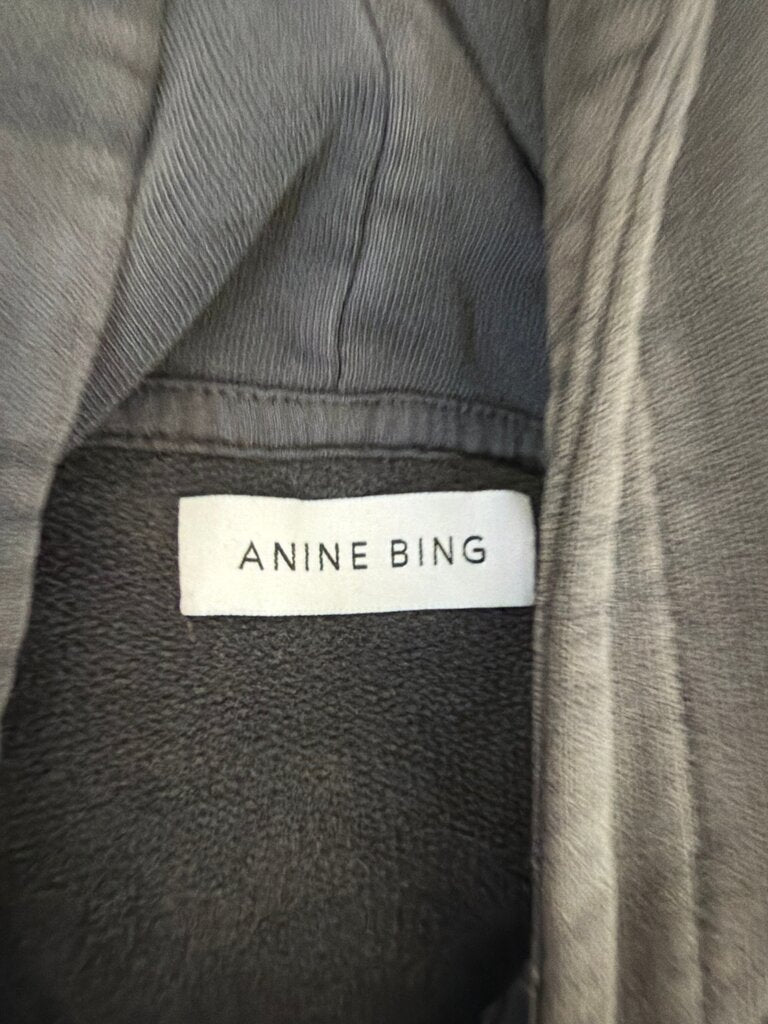 Anine Bing Gray Hoodie