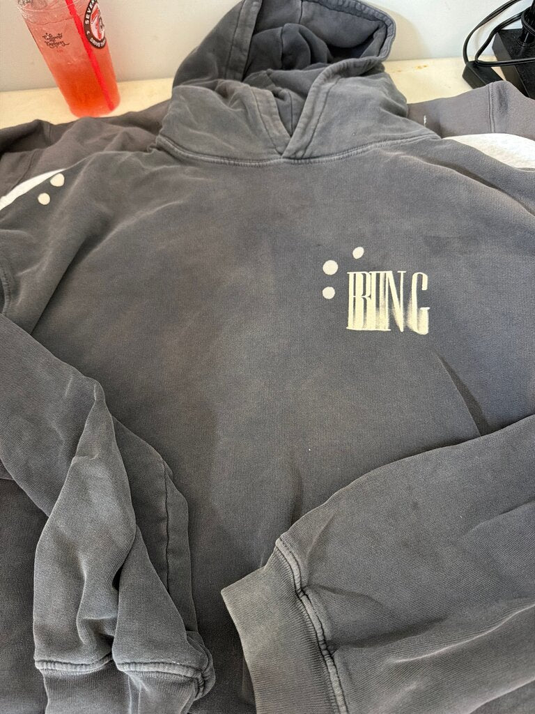 Anine Bing Gray Hoodie